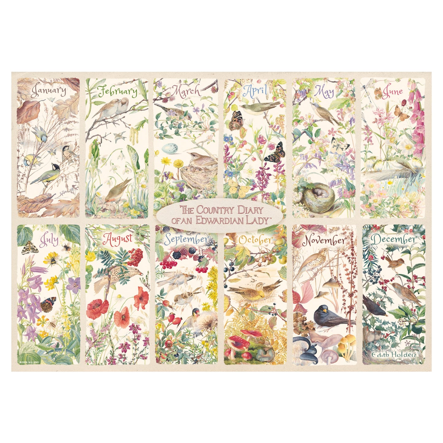 Falcon - A Year of The Country Diary (1000 pieces) - product image - Jumboplay.com