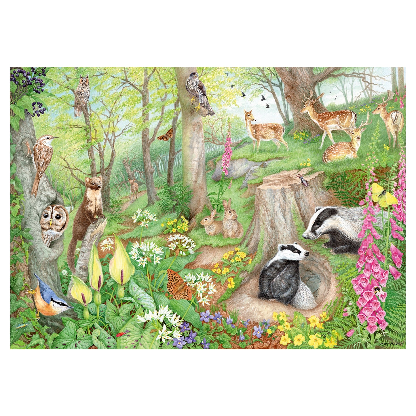Falcon - Woodland Wildlife (1000 pieces) - product image - Jumboplay.com