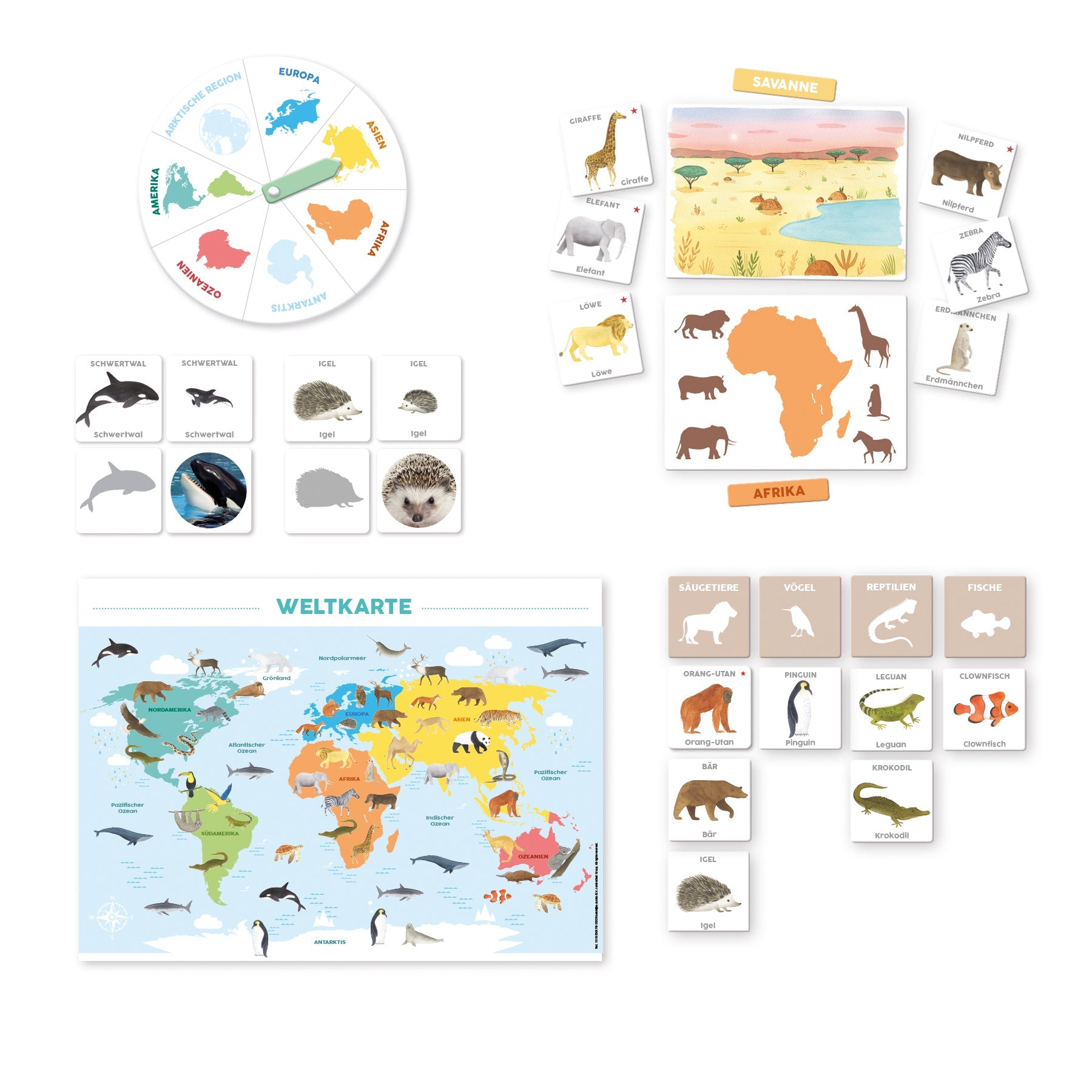 Ich Lerne Entdecken Tieren - product image - Jumboplay.com