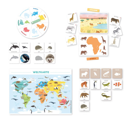 Ich Lerne Entdecken Tieren - product image - Jumboplay.com