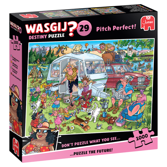 Wasgij Destiny 29 - Pitch Perfect! (1000 pieces)