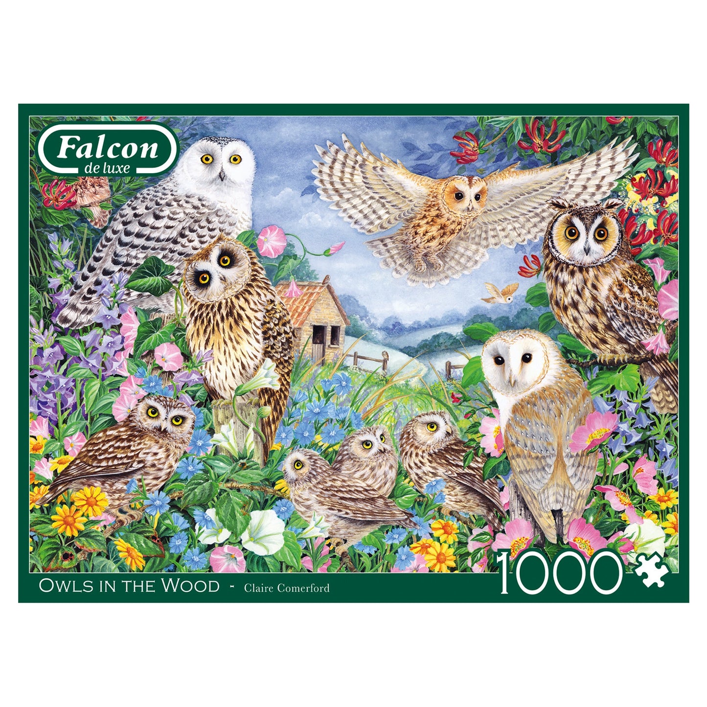 Falcon - Owls in the Wood (1000 pieces) - product image - Jumboplay.com