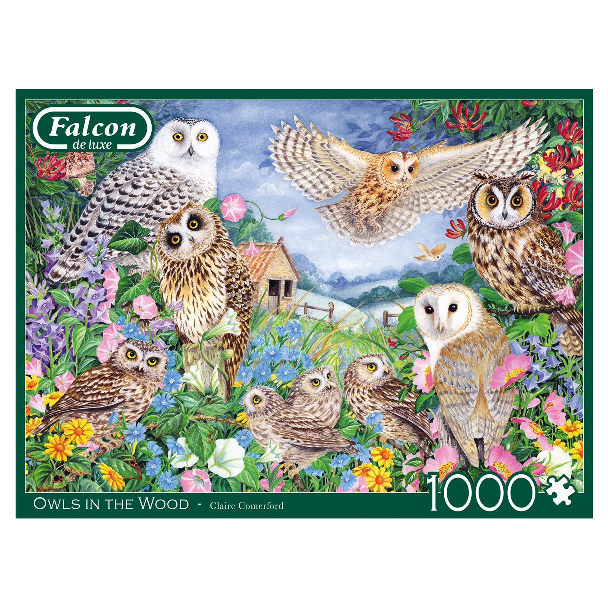 Falcon - Owls in the Wood (1000 pieces) - product image - Jumboplay.com