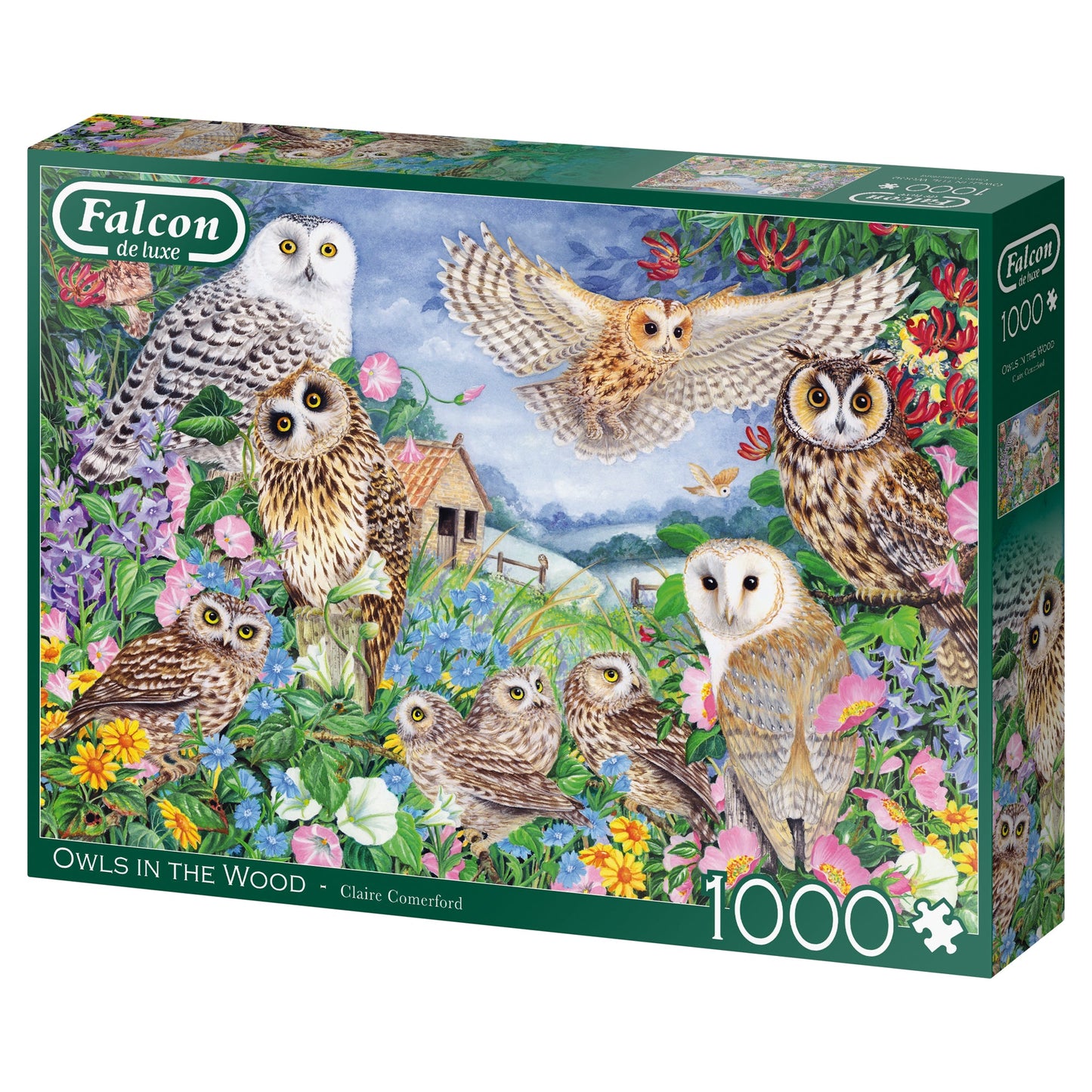 Falcon - Owls in the Wood (1000 pieces) - product image - Jumboplay.com