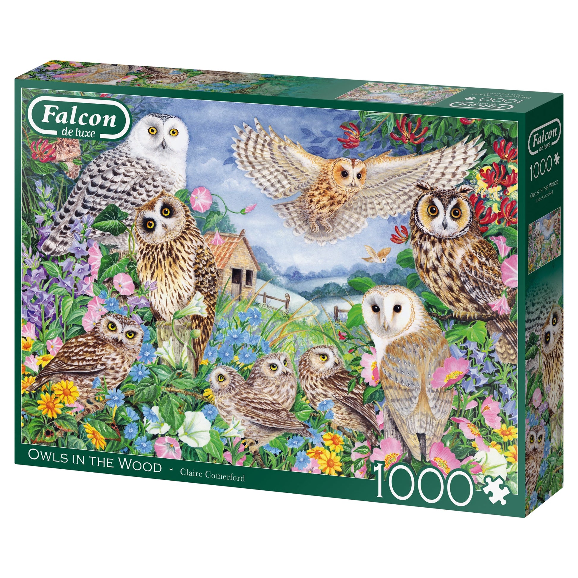 Falcon - Owls in the Wood (1000 pieces) - product image - Jumboplay.com