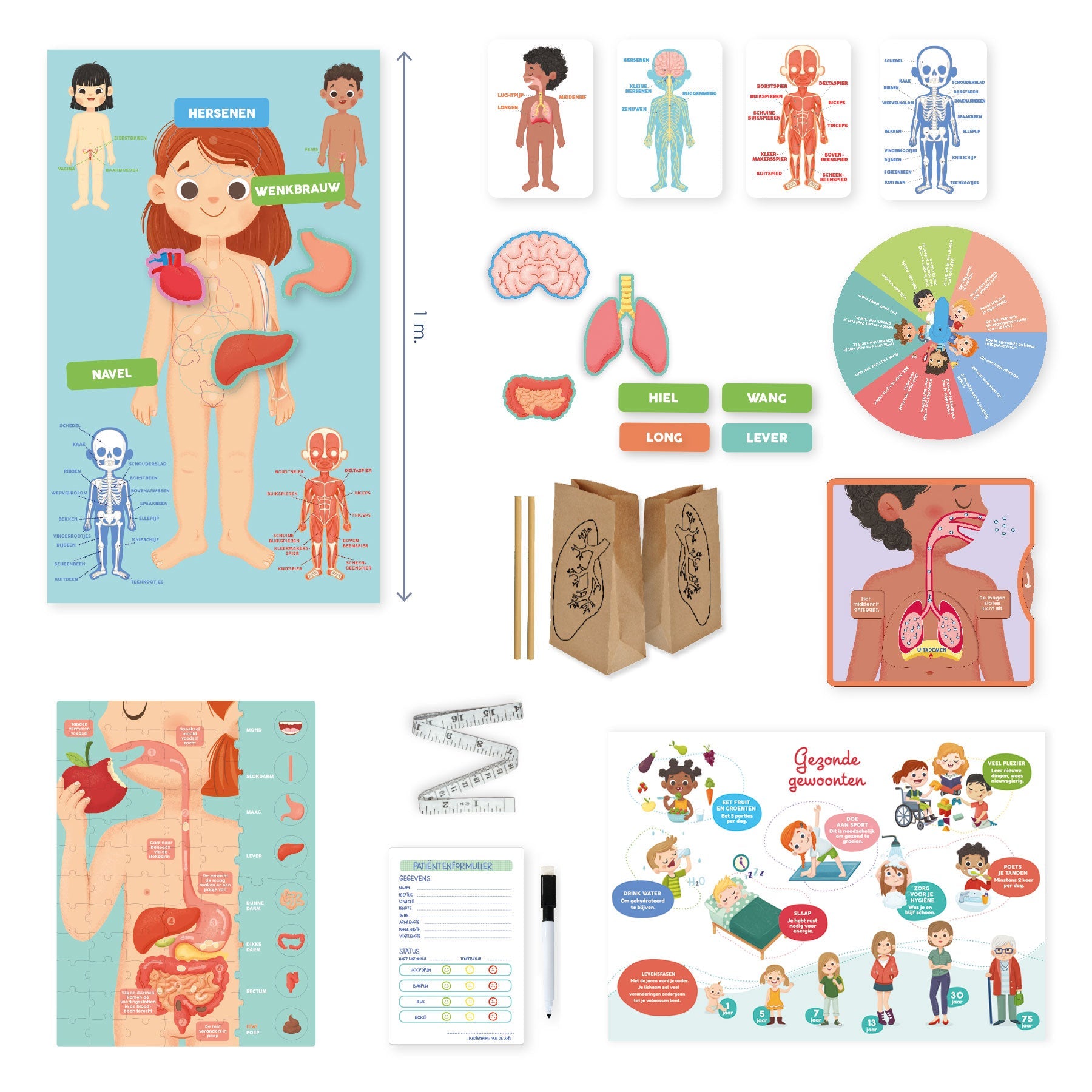 Ik Leer Ontdekken Het Lichaam - product image - Jumboplay.com