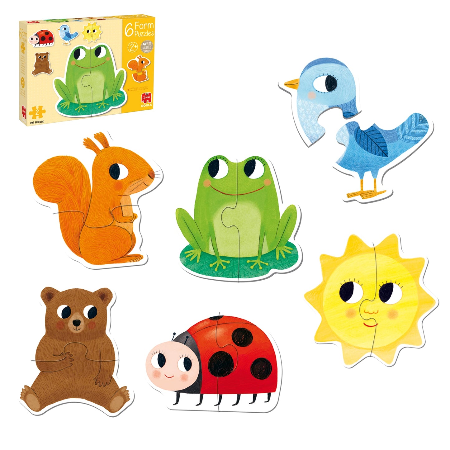 Form 6 puzzles - product image - Jumboplay.com