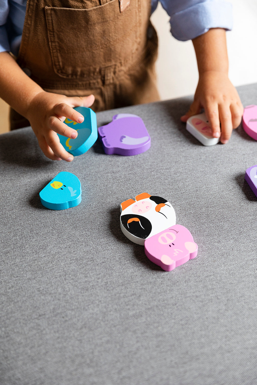 Magnetic Interchangeable Animals Puzzle - product image - Jumboplay.com